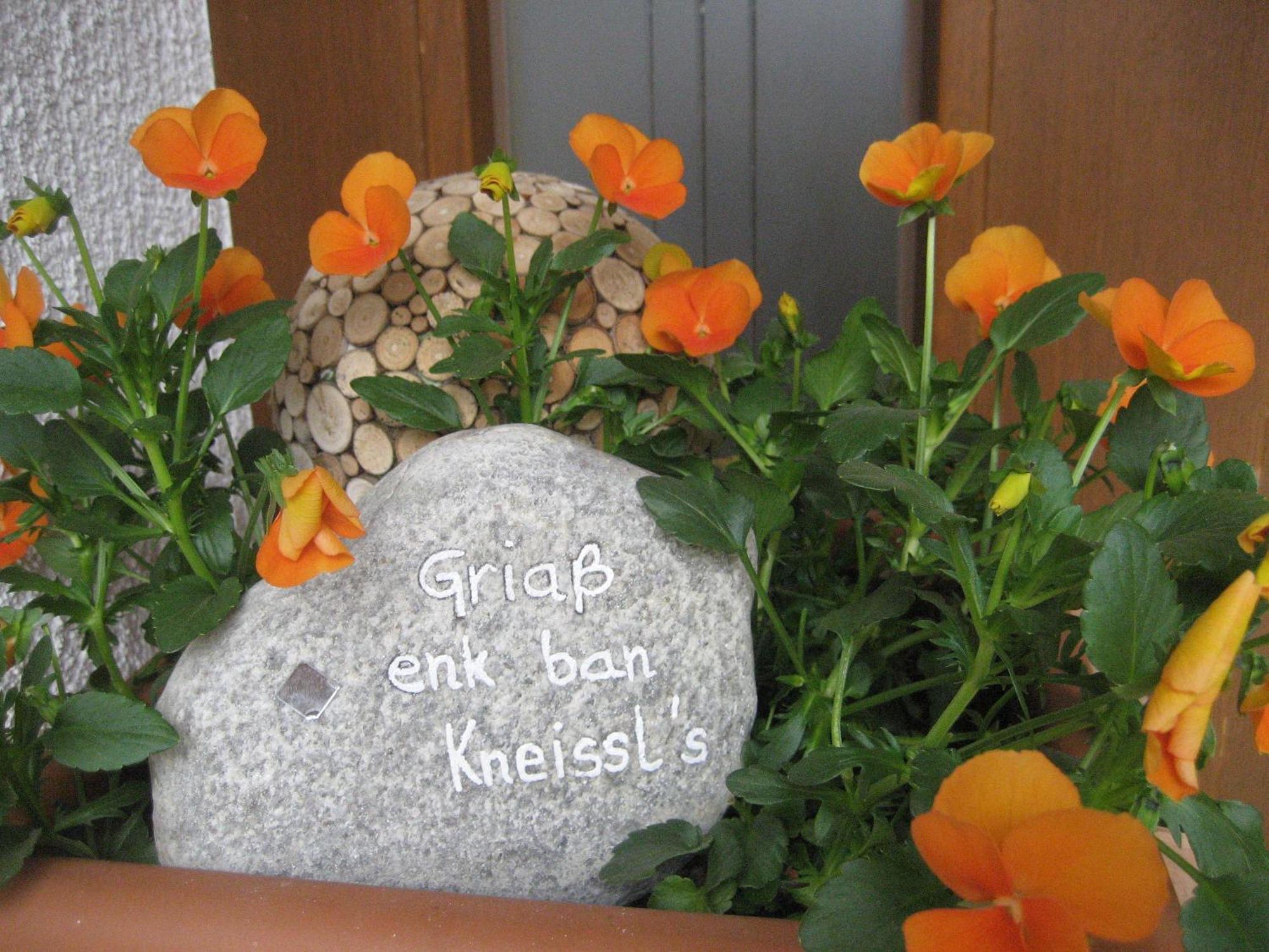 Ban Kneissl'S Apartment Umhausen Bagian luar foto